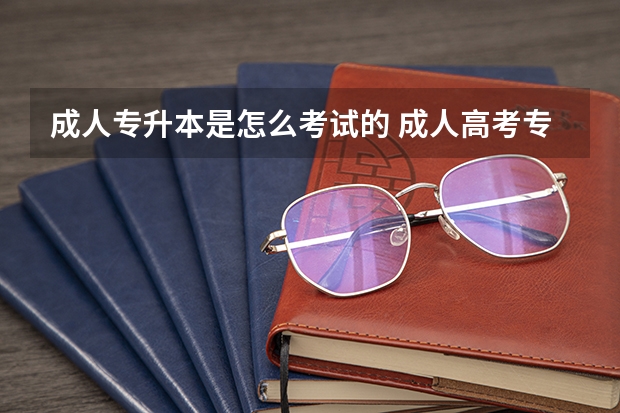 成人专升本是怎么考试的 成人高考专升本考试方式是什么？