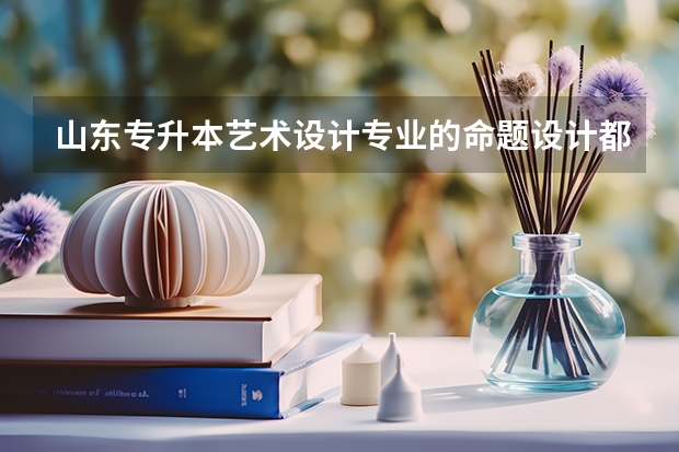 山东专升本艺术设计专业的命题设计都考些什么