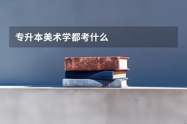 专升本美术学都考什么
