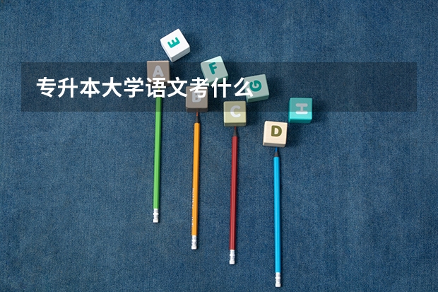 专升本大学语文考什么