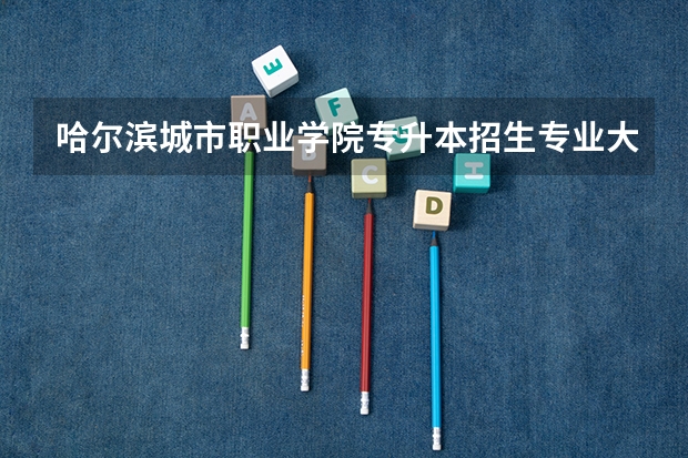 哈尔滨城市职业学院专升本招生专业大类报考占比表（专升本招生专业）