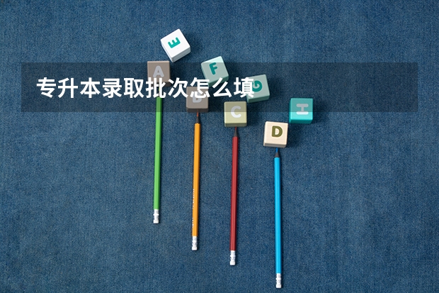 专升本录取批次怎么填