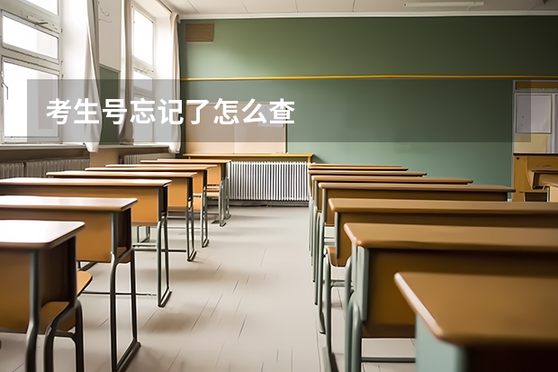 考生号忘记了怎么查