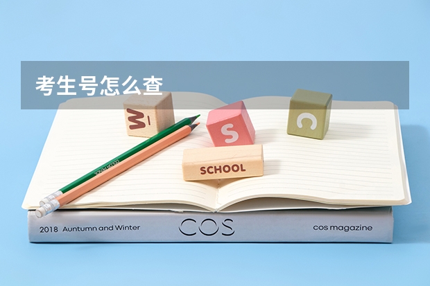 考生号怎么查