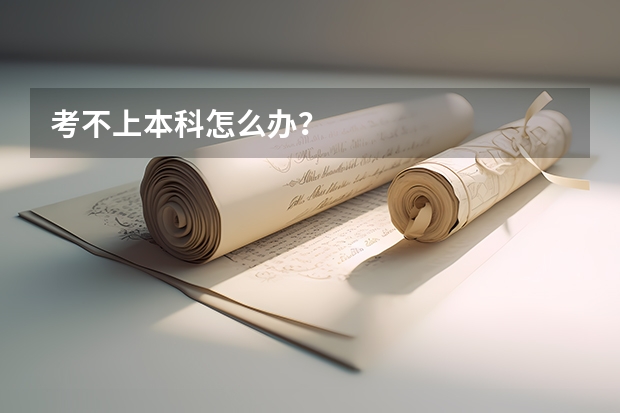 考不上本科怎么办？
