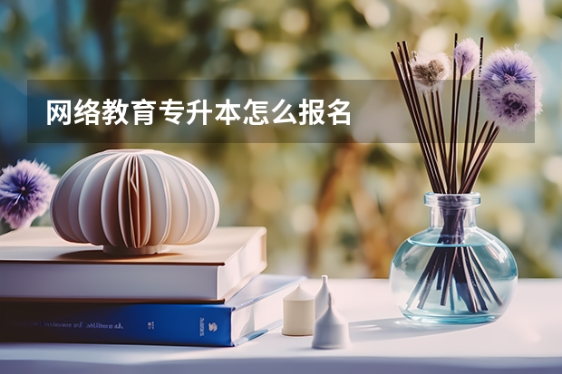 网络教育专升本怎么报名