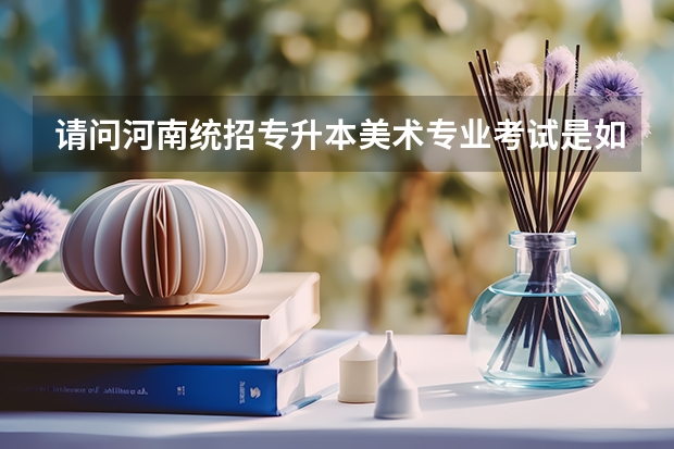 请问河南统招专升本美术专业考试是如何安排的？