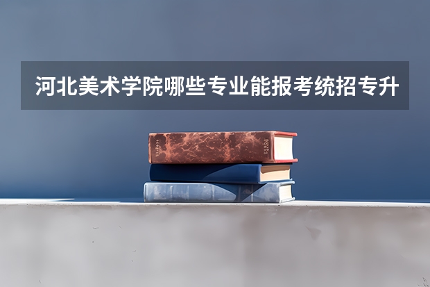 河北美术学院哪些专业能报考统招专升本？