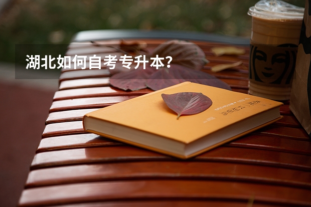 湖北如何自考专升本？