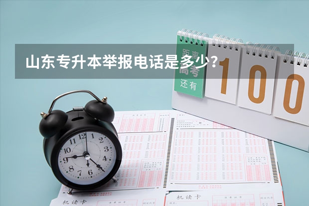 山东专升本举报电话是多少？