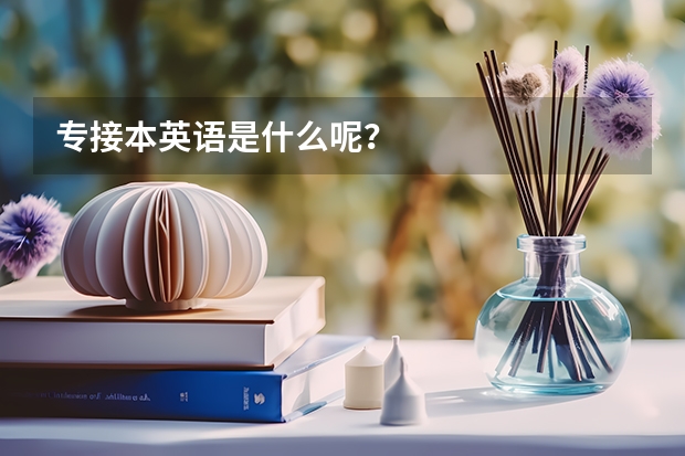 专接本英语是什么呢？