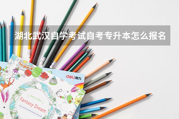 湖北武汉自学考试自考专升本怎么报名？考试多少分及格？