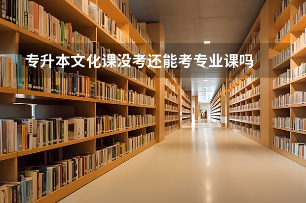 专升本文化课没考还能考专业课吗