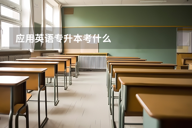 应用英语专升本考什么