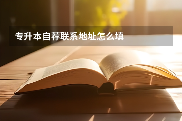 专升本自荐联系地址怎么填