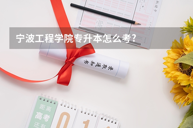 宁波工程学院专升本怎么考?
