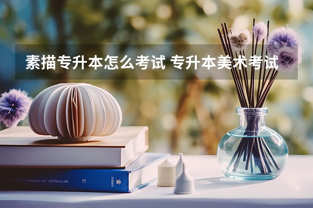 素描专升本怎么考试 专升本美术考试时间