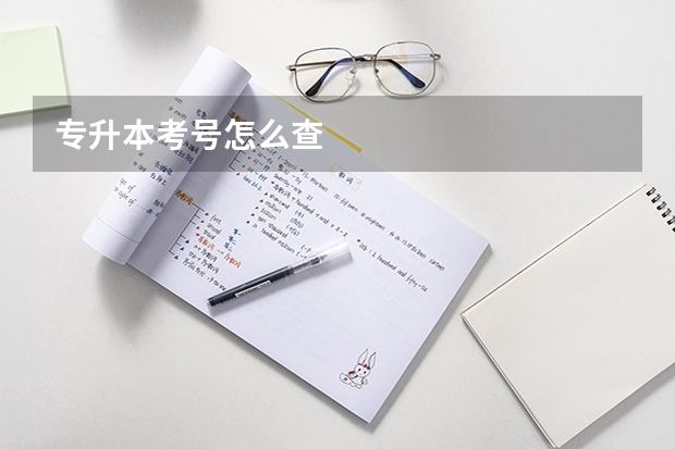 专升本考号怎么查