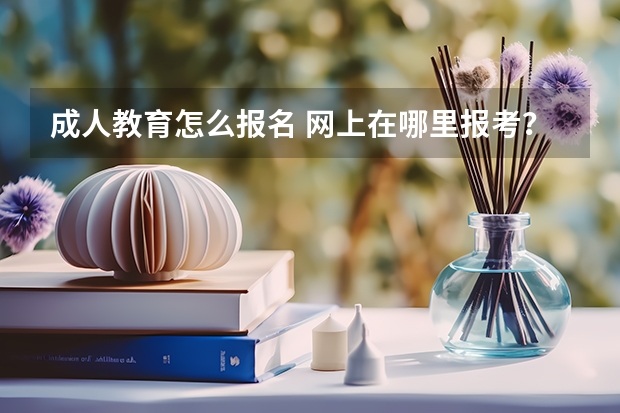成人教育怎么报名 网上在哪里报考？