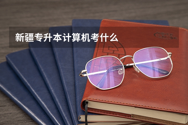 新疆专升本计算机考什么