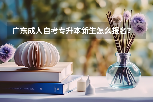 广东成人自考专升本新生怎么报名？