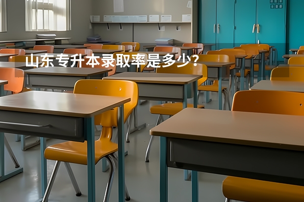 山东专升本录取率是多少？