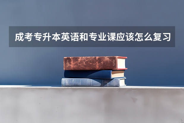 成考专升本英语和专业课应该怎么复习？