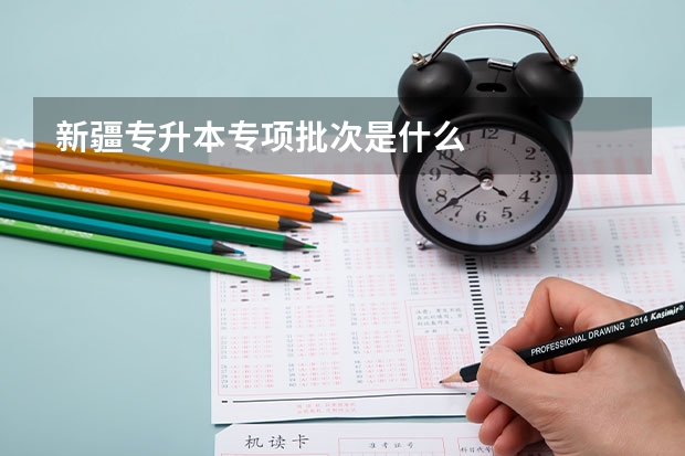 新疆专升本专项批次是什么