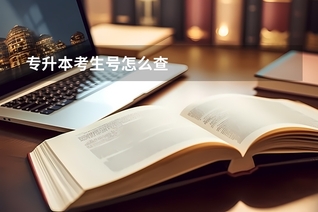 专升本考生号怎么查