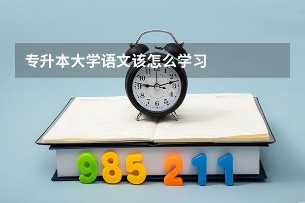 专升本大学语文该怎么学习