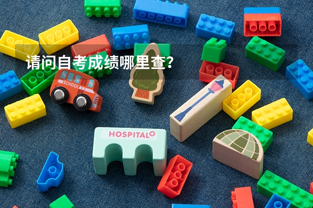 请问自考成绩哪里查？