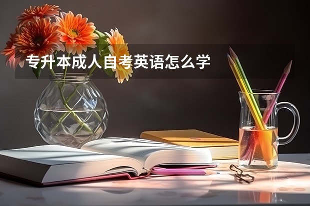 专升本成人自考英语怎么学